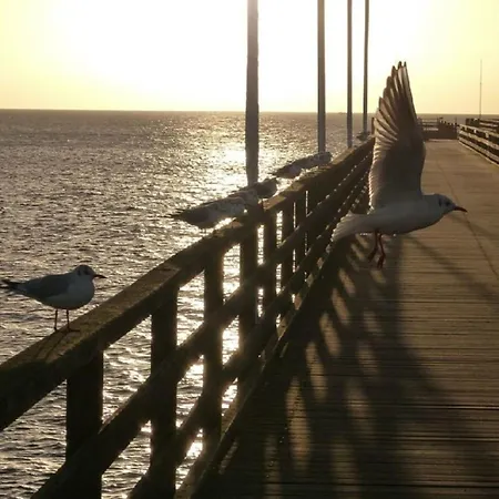 Little Havana - Großenbrode